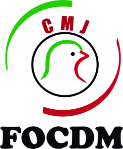 CMJ-FOCDM