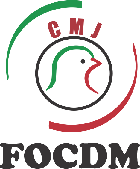 CMJ-FOCDM